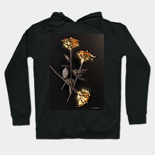 Burning roses Hoodie